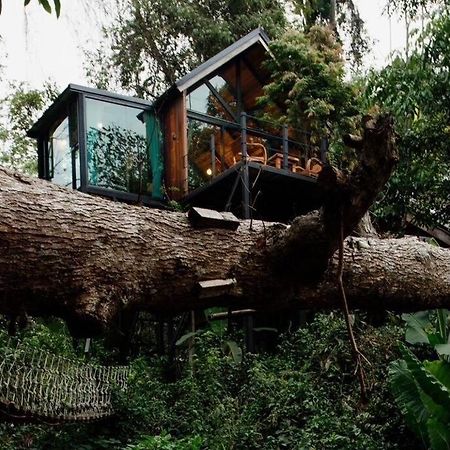 Doi Saket Wilderness Treehouseヴィラ エクステリア 写真