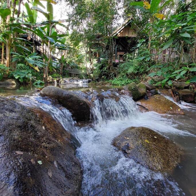 Doi Saket Wilderness Treehouseヴィラ エクステリア 写真