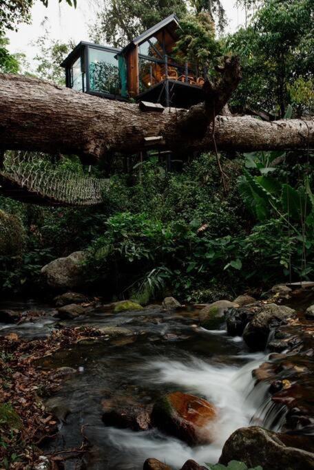 Doi Saket Wilderness Treehouseヴィラ エクステリア 写真